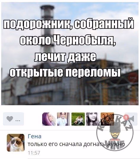 2376b3be41ecc180983eb4c70e541b42.jpg