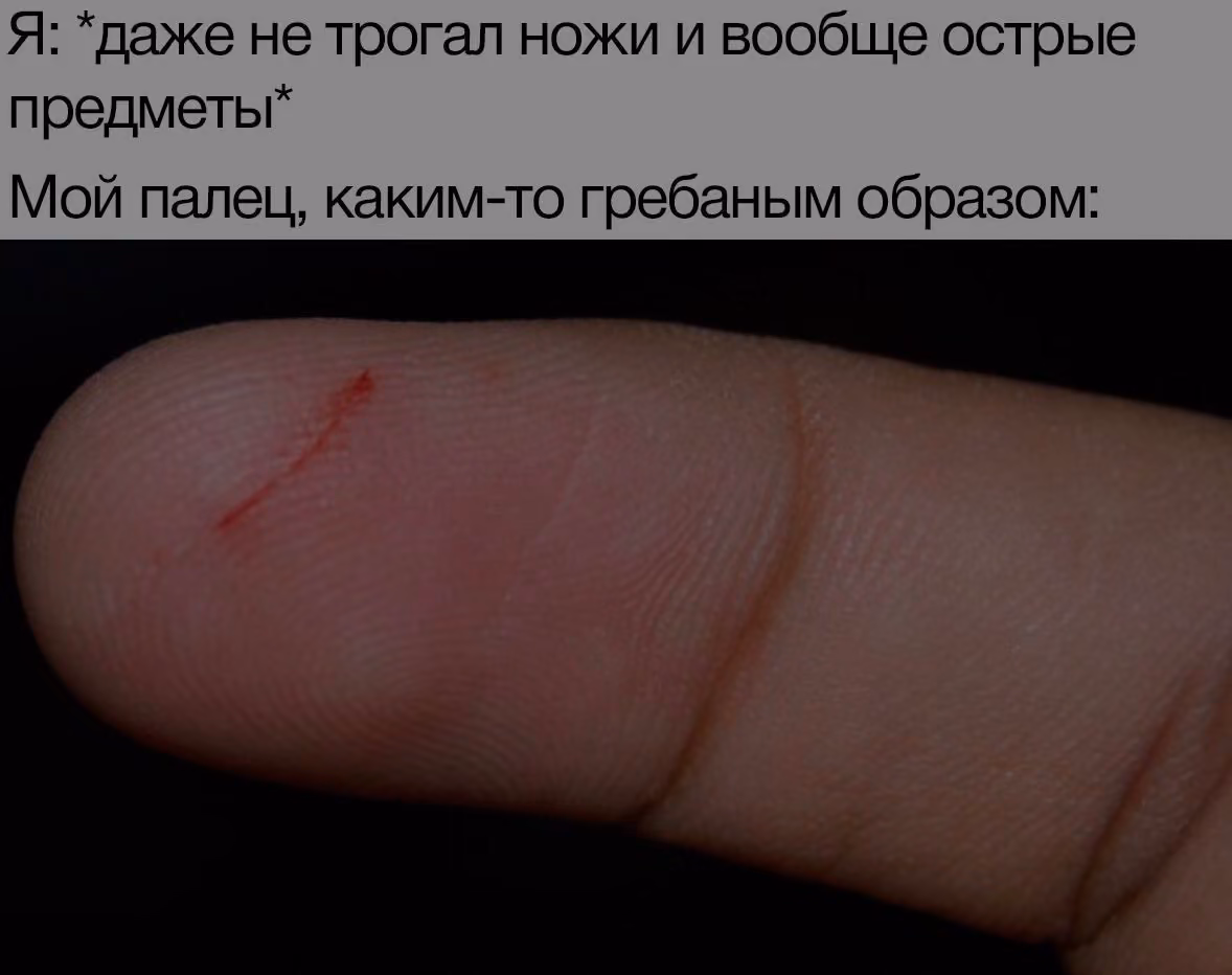 23910321002f5d9f3a188f28d5f06379.avif