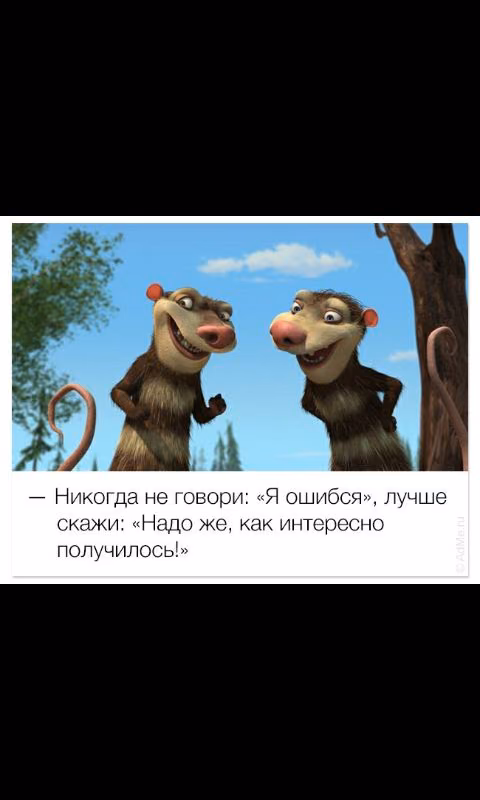 23a2c03c3fd5ab239e2bcd479aac1e1d.avif