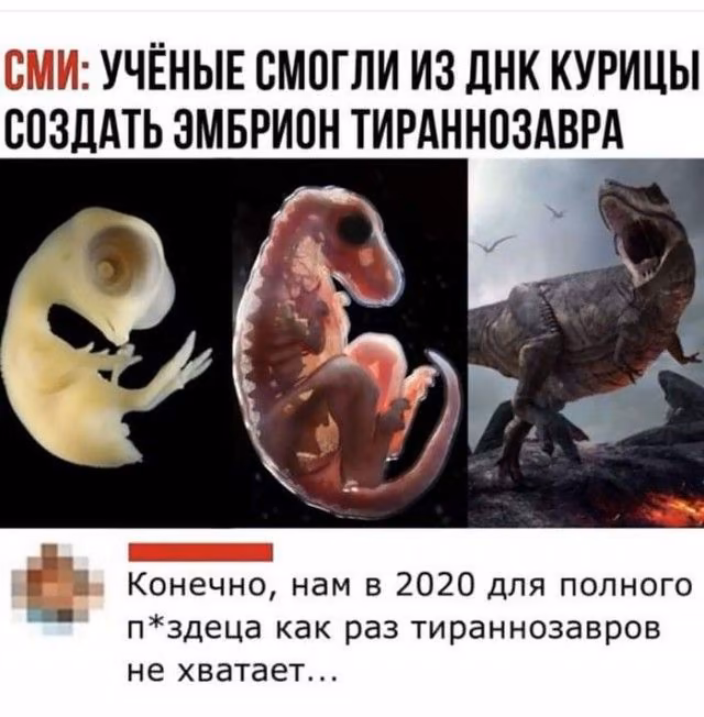 23a40e37f4d18a9f55d4227d553c1036.avif