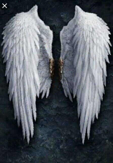 23b42026d66dfe347ee1bf704221f9d1.avif