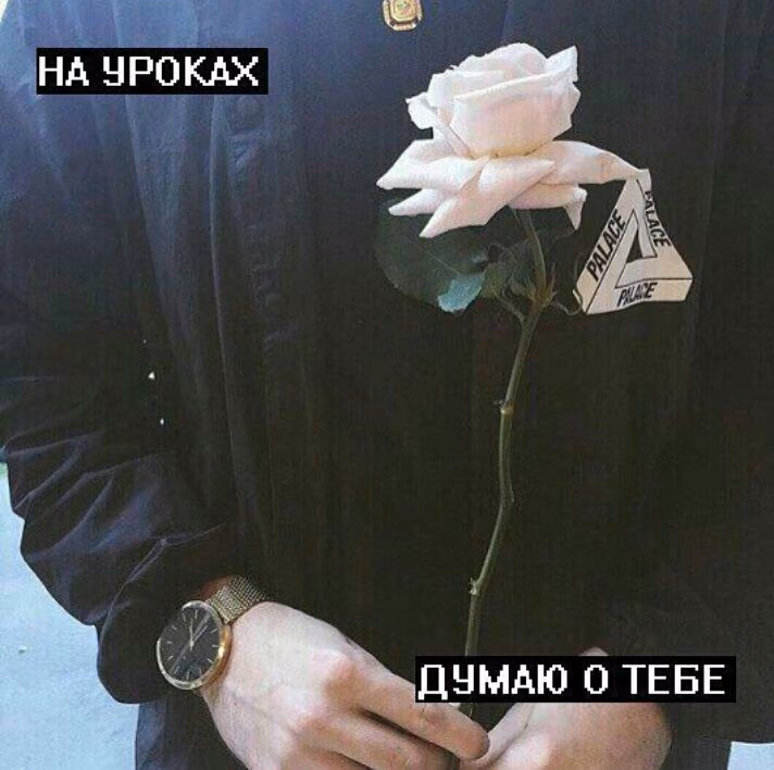 23c0923c73cf121f4474b7d03b5848b9.jpg