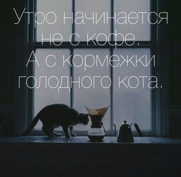 23c40c4843953cc14947a15b116f608b.jpg
