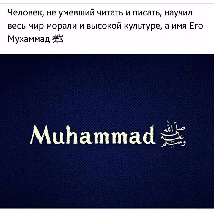 23cd81b8185812c9015ca4465d067bf9.avif
