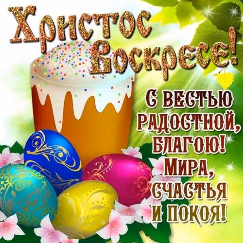 23cf2abc9d4a8321e24ed173142b9898.avif