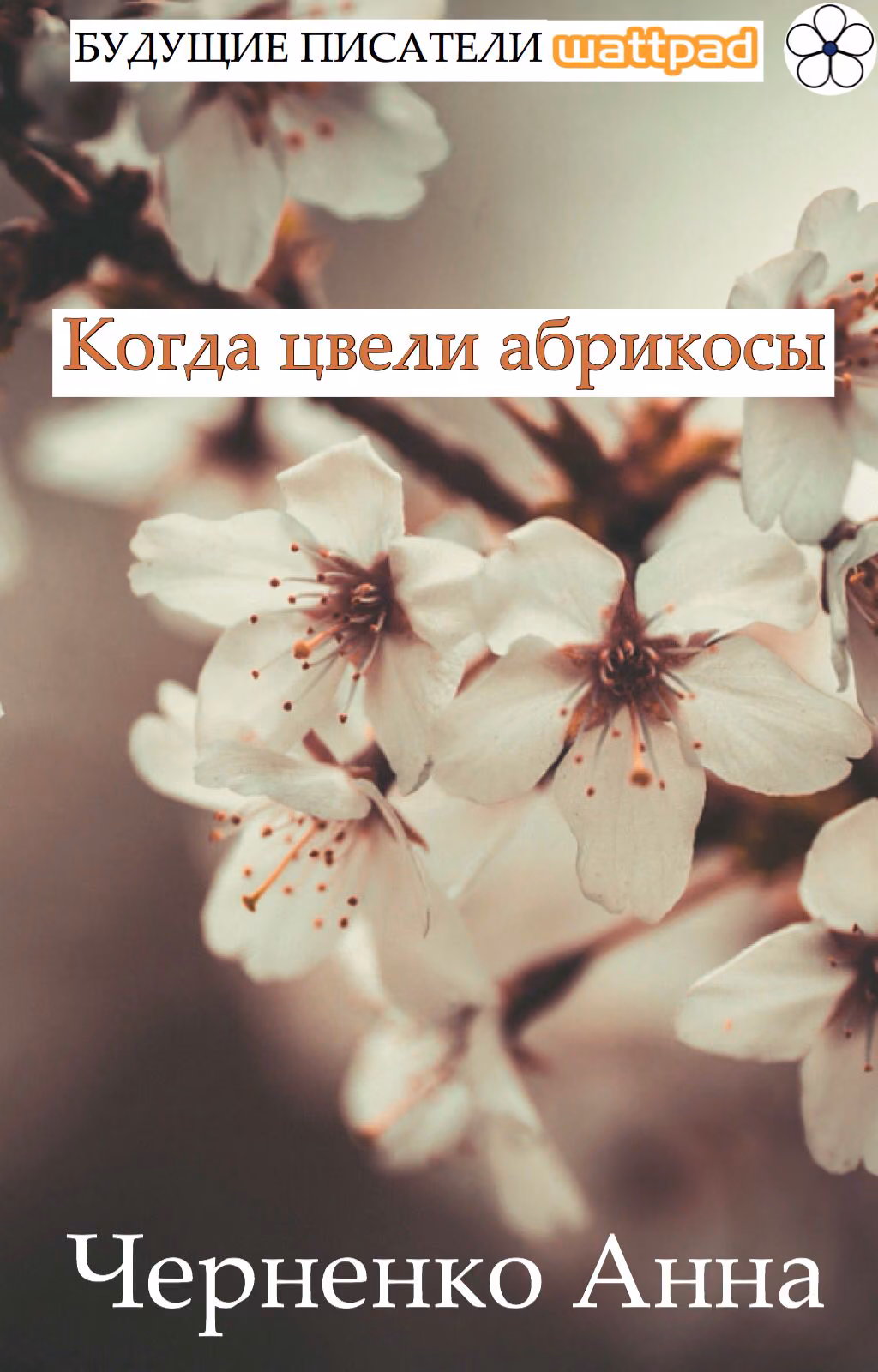 23d0400745d2621b02b86f4c006d4f14.jpg