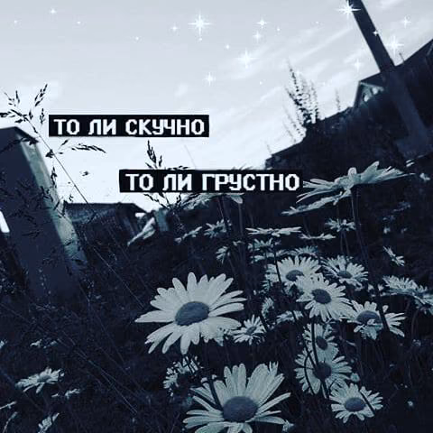 23df079d99667d843dea058dff464f63.avif