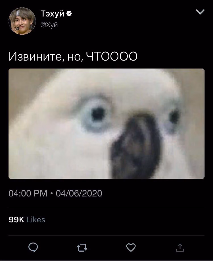 23e009f0067aa468ce8bf01216acafc5.avif