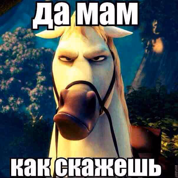 23fb5050530b8e762b812919cb97258b.avif
