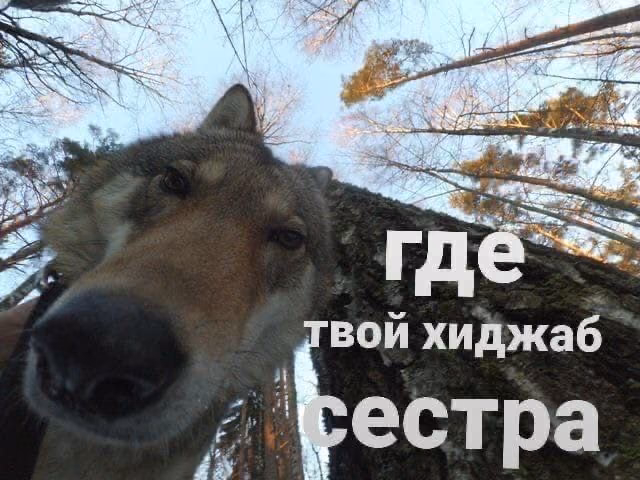 241bd512b7ab501e0588fd12c2867b28.avif