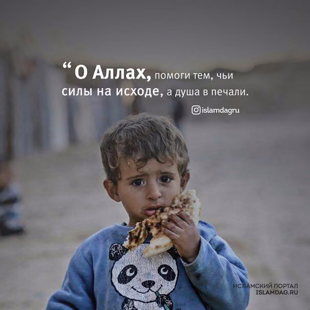 2420409b09fb147745f1a22ce9d2c8ef.avif
