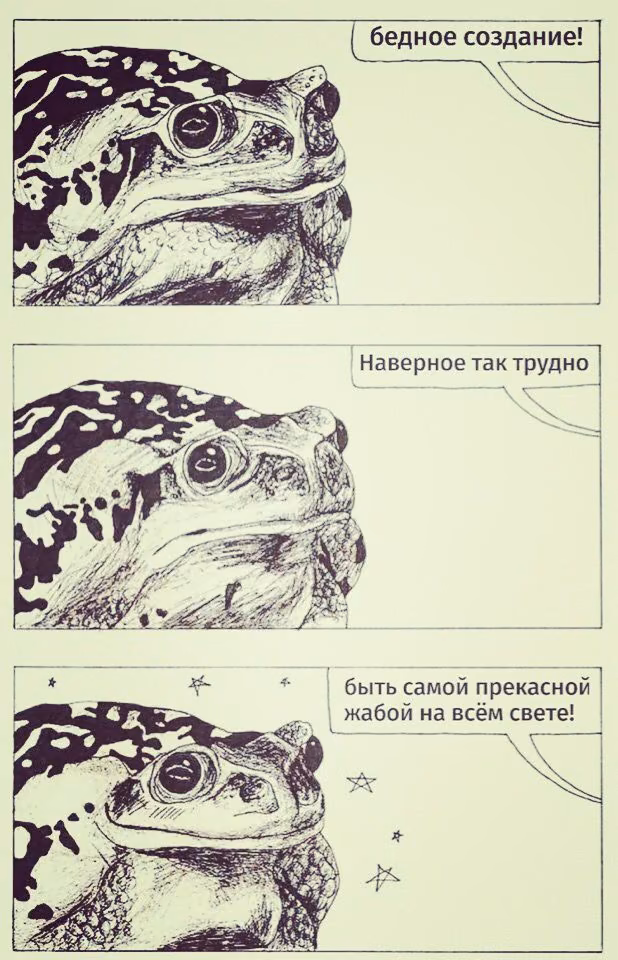 2424c2ab5e5d5570f34cec4d51bfd768.jpg