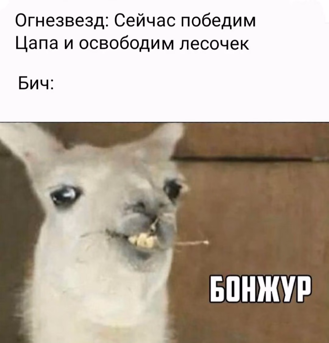 24345fa8b31016f955aa29fc88f77dba.avif