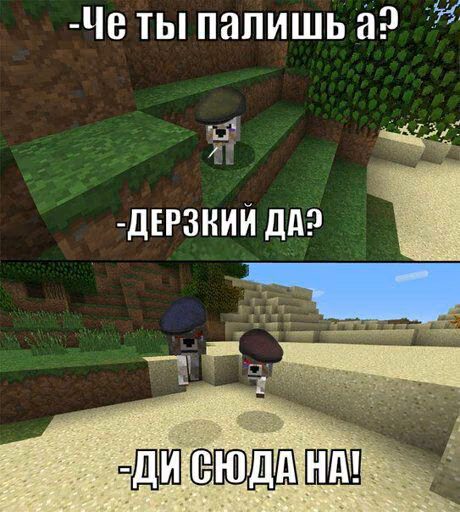 2436527eed9afee69da57343bae8001d.jpg