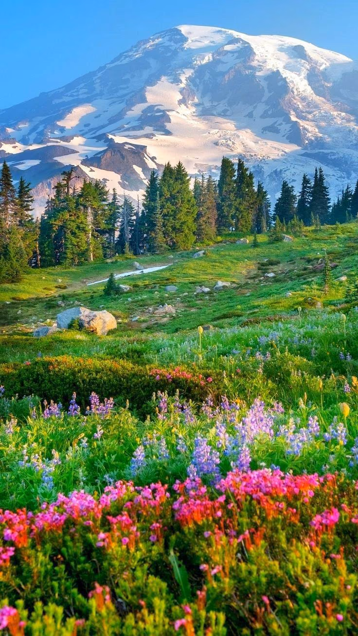 243a7efe80bfff0ec915e51a273c820d.jpg