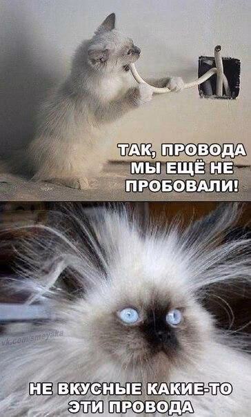 2453c1cd576b80d508760d0102bc8c17.avif