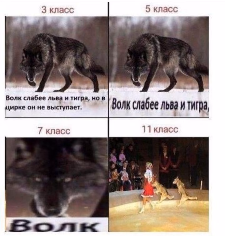 24546259a0bb83bea40633627e770e42.avif