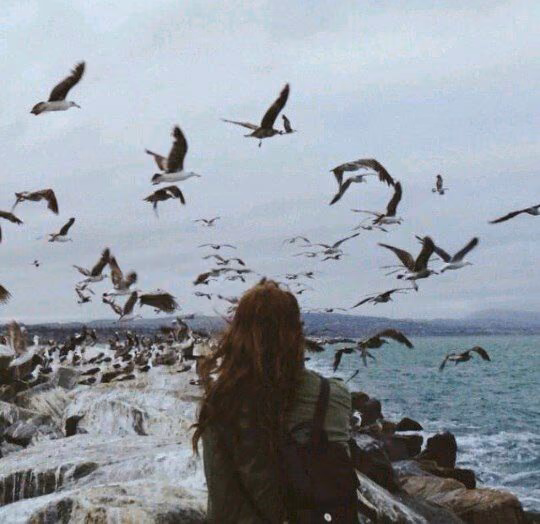 2469b270b5e7a47cf7224878366cd7b1.avif