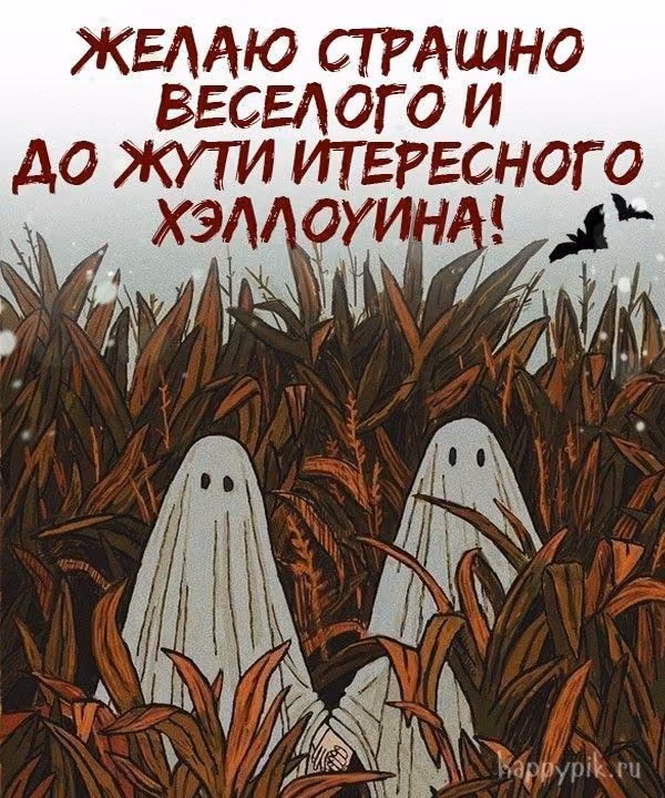 2489aa0b145d2fb953f5971be8c58444.avif