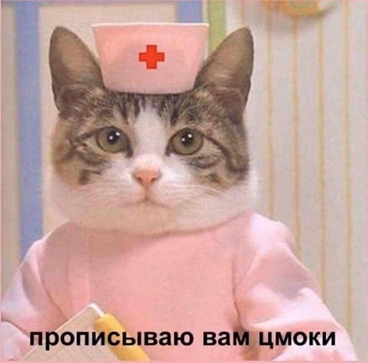 249dbf3e41ee8bb1893138493f8964eb.avif
