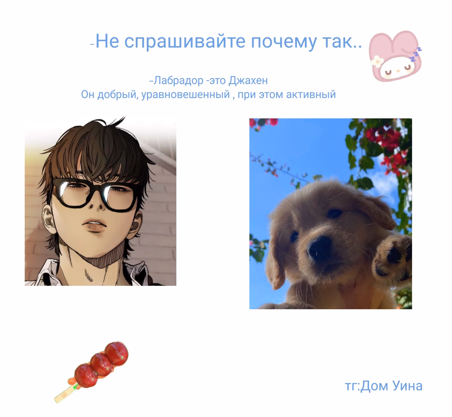 24bd070f751d3e17732ec7df2123ea39.avif