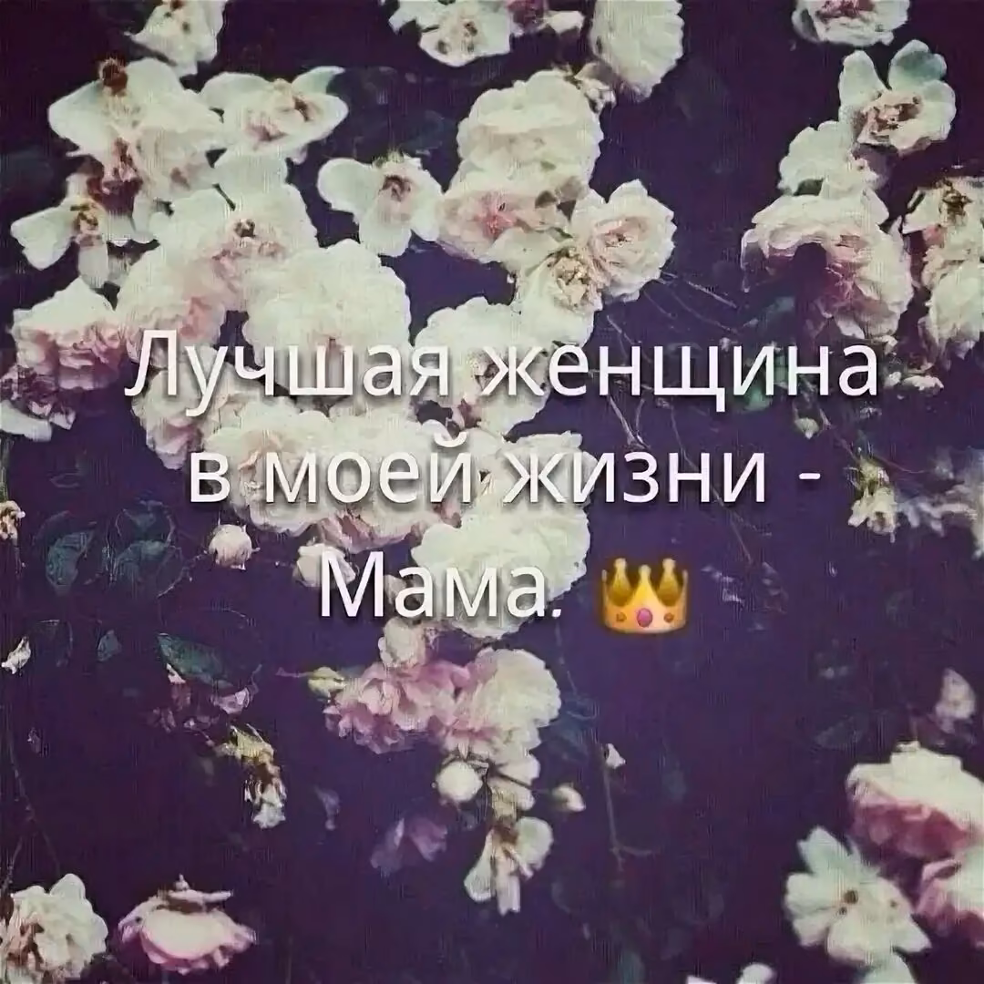24c211548f88f08ef7891aa15b0e0b02.jpg