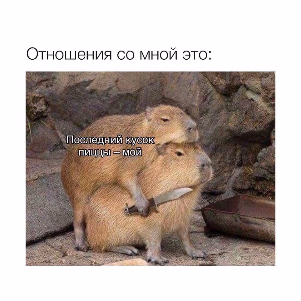24c94974ca471a60db71da5f40e412bb.jpg