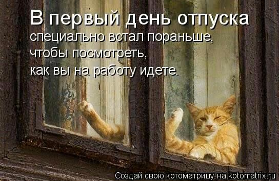 24d351f2e6d5c953bb54dd2be317da37.jpg