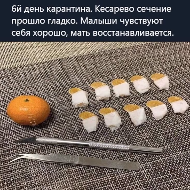 24d959b4fe22091b24d7ec9d4a526daf.avif