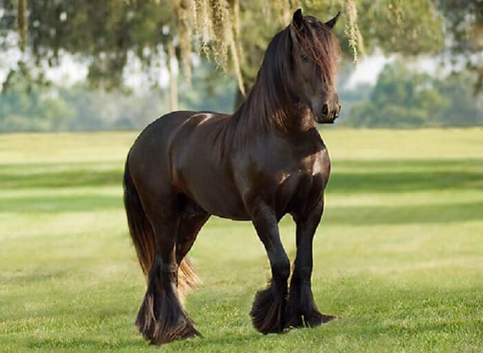 24da5a5af0260a68962da00aa98aa0fa.avif