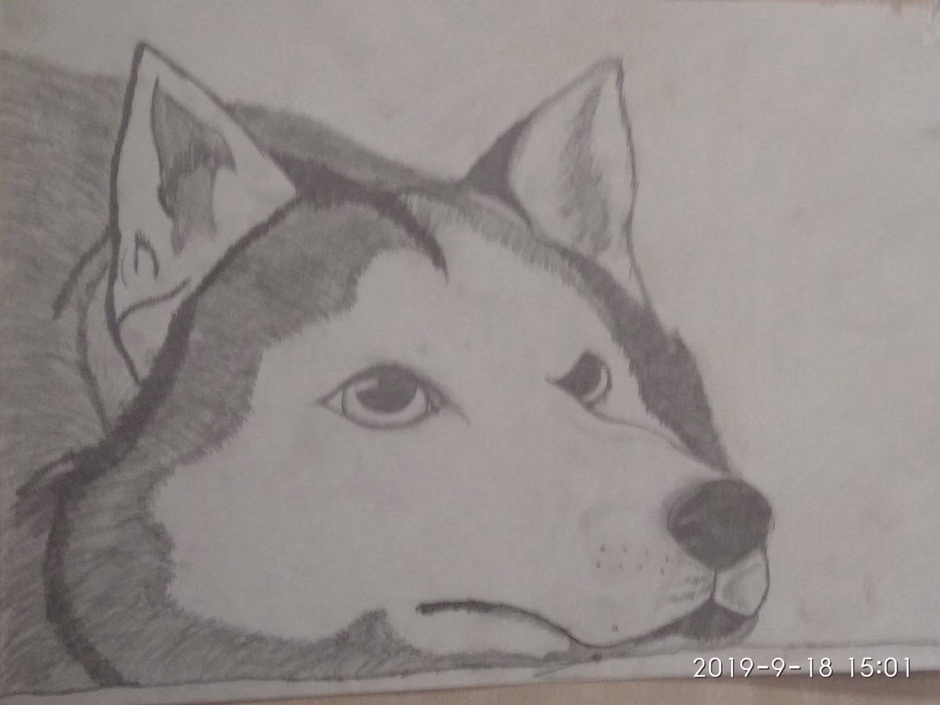 24f4f0819a11e57fa7f52bcd45be781b.jpg