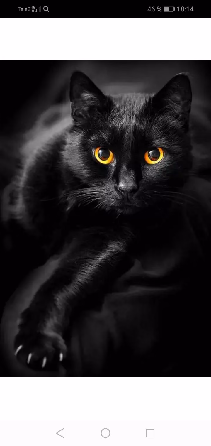 25011e67c3bc1de39958c1b2ebb01e3a.avif