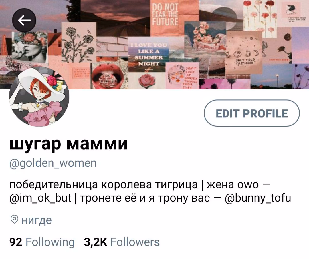 2504c772a17897105adcd2df662f3839.avif