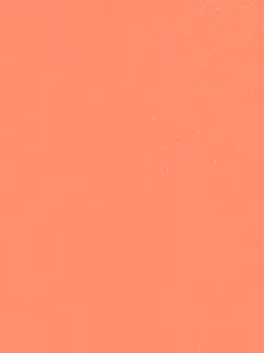 2507929a17bcf125f97fba92a482e557.jpg