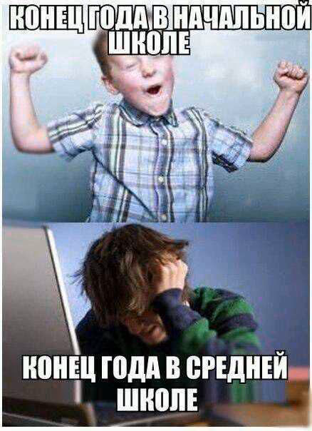 25256c2531c45c4da17ab506cde1d619.avif
