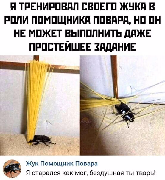 252f8a39f8257e51217c7088ba670f96.jpg