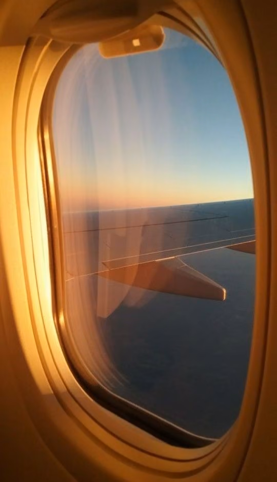 253528ab373a9624515b79db0640d05c.avif