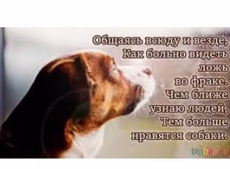 2535dd1904ae9897a470fac1399be2b2.avif