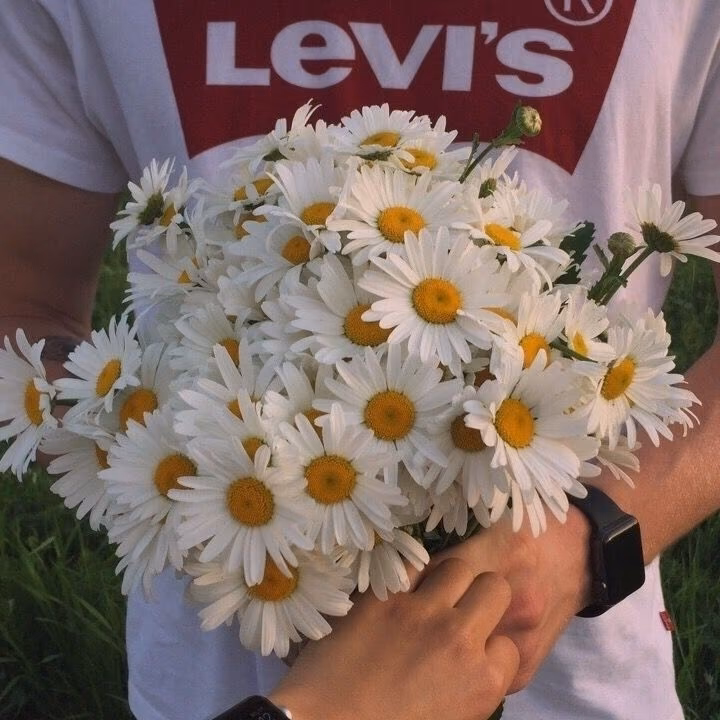 253de3048da0cd007c3f0987f508bd76.jpg