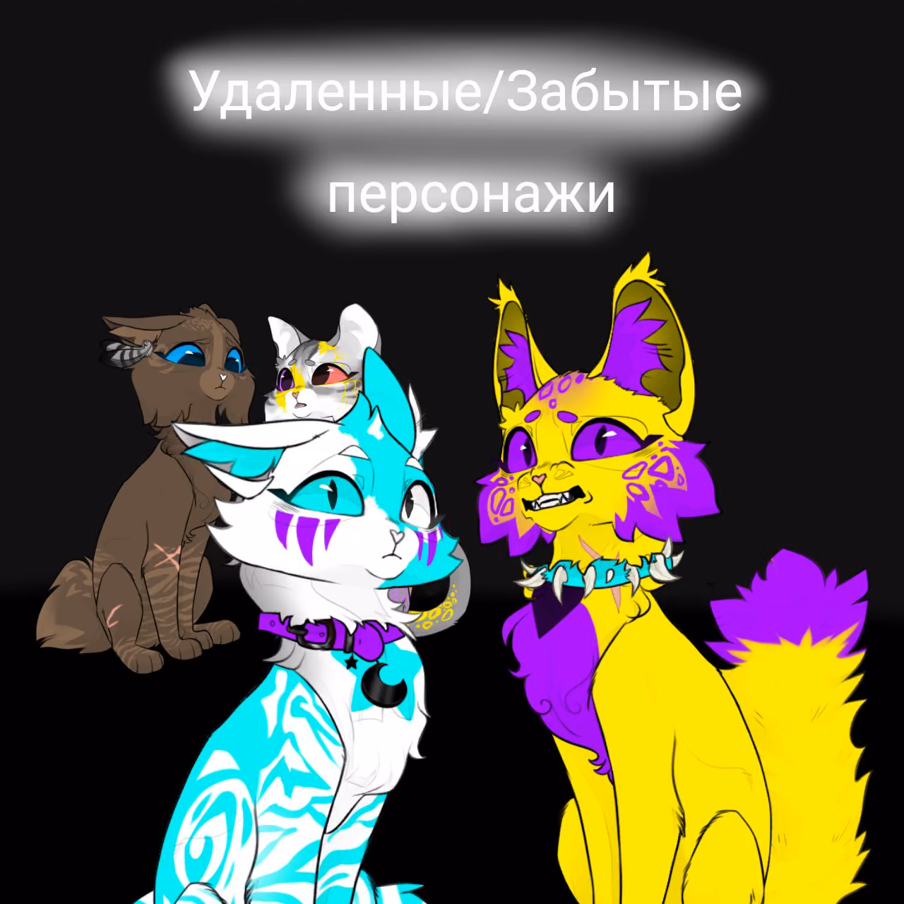 25587cbdec46b62a2694519642194c24.avif