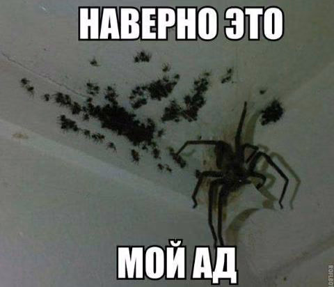 25678668791c293f0475f628ffdc72c3.jpg