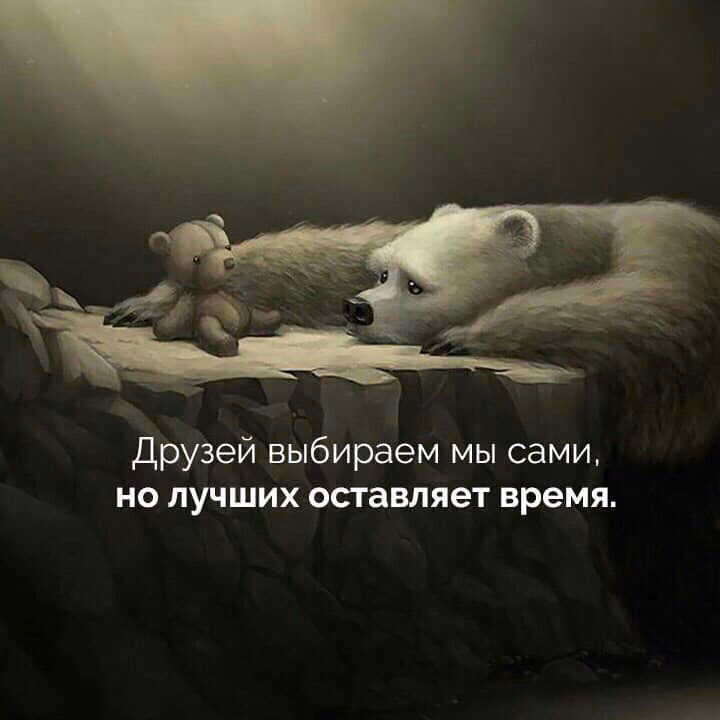 256d008a60e073eaaca89474886127dd.jpg