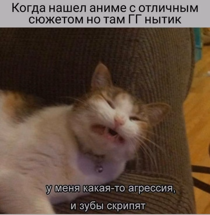 258645e1b5ede8d6c32d4af7fe8b44b0.jpg