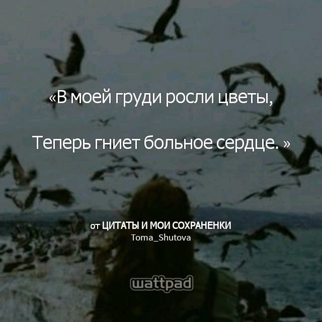 2589788236dcbefcf50abb92154b5cbd.jpg