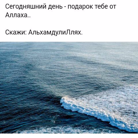 258d834ee2d33957aab4ca89988e27df.avif