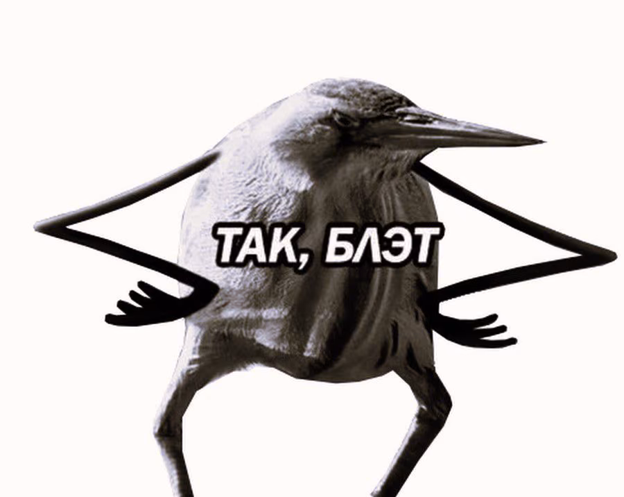 2594b8c9ee17a4623a5a758f655588a5.jpg