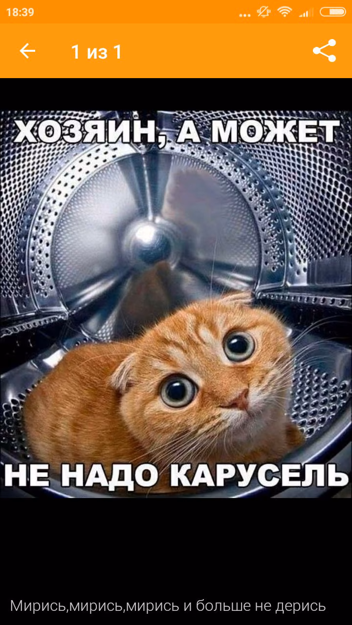 2596f63ae16284a47ef653bb4c7f9fcd.jpg