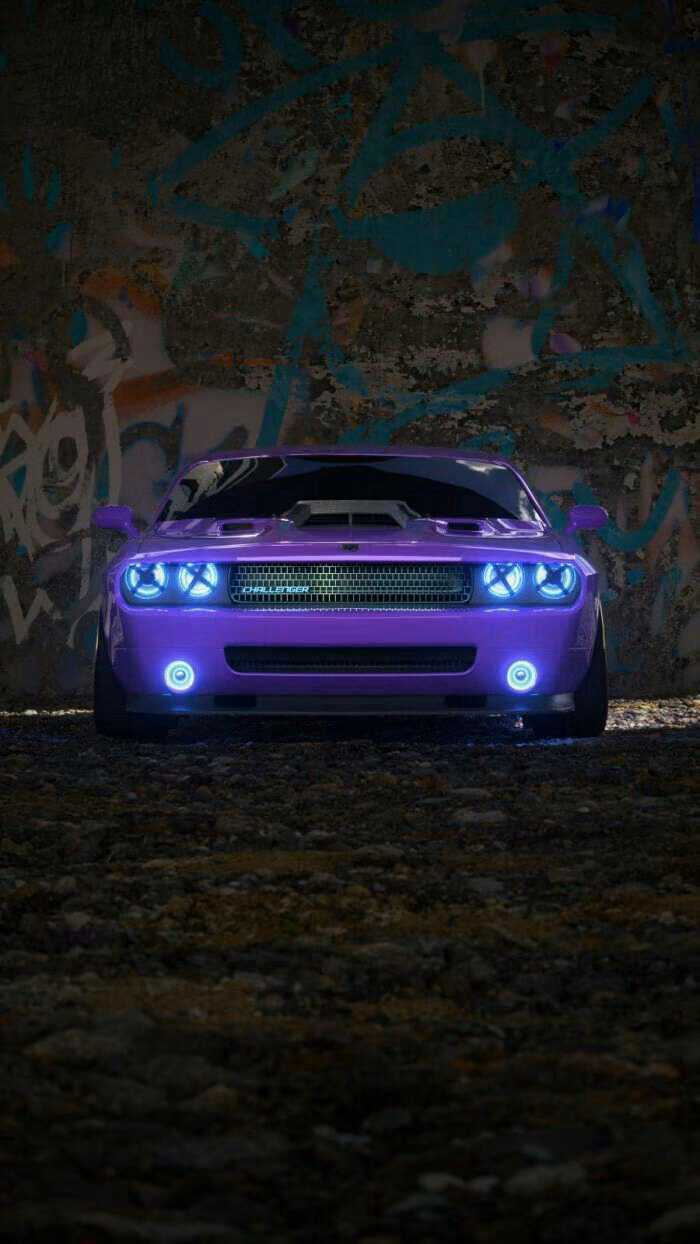 25a8210a3bddbf9eedc8fa60a7e3b49b.avif