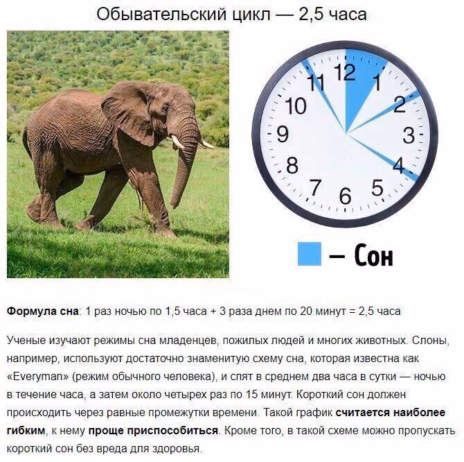 25be79d948441873a8c569c69533b367.avif