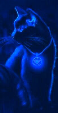 25bfa4d837da0a4ee2c322a1bc7edd9d.avif